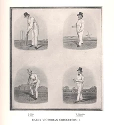 Joueurs de cricket de l