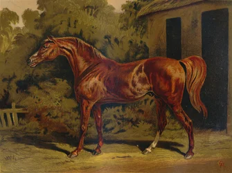 Éclipse, c1879