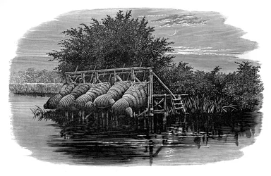 Pêcheries d