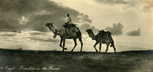 Égypte - Soirée dans le désert, c. 1918-c. 1939
