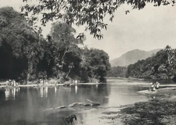 Lieu de bain des éléphants sur la Mahavaliganga près de Kandy, 1926