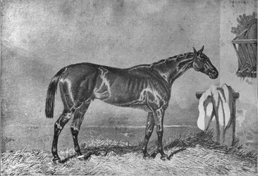Ellington, 1853-1870