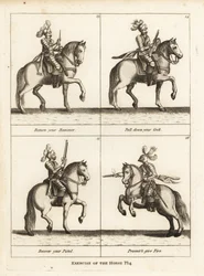 Exercice du cheval