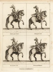 Exercice du cheval