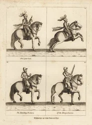 Exercice du cheval