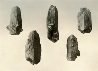 Cristaux de feldspath du sommet du mont Erebus Taille naturelle, 1909