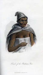 Femme de la race Bushman, 1848