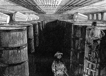 Cave de fermentation dans une brasserie américaine, 1885