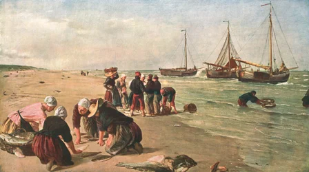 Poisson de Dogger Bank, Scheveningen, Hollande, 1870, vers 1902