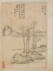 Cinq arbres sur un promontoire rocheux