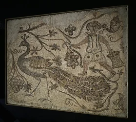 Panneau de mosaïque de sol : vendangeur avec paon, Ve siècle