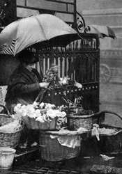 Vendeuse de fleurs, Piccadilly Circus, Londres, 1926-1927