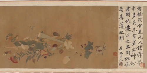 Fleurs, fruits, coquillages et insectes, 1368-1644