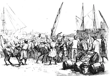 Nourriture pour les troupes : Débarquement de bétail à Port-Saïd, vers 1882
