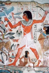 Chasse aux oiseaux dans les marais : peinture murale de la tombe de Nebamun, Thèbes, Égypte, vers 1350 av. J.-C.
