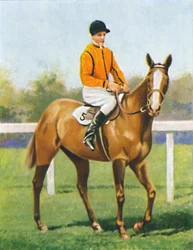 Course gratuite, jockey : B. Hobbs, 1939