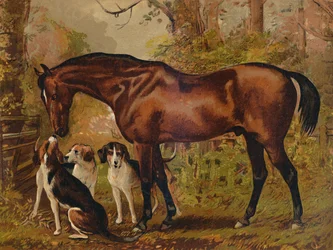 Freemason - Chasseur favori du défunt Hugo Meynell Ingram Esq., vers 1879