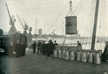 Lait français débarqué à Southampton, 1902