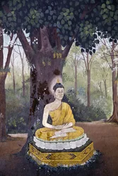 Bouddha méditant sous un arbre, Chiang Mai, Thaïlande