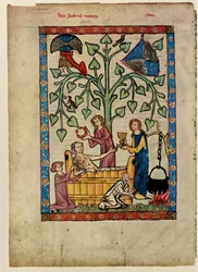 Du Codex Manesse, entre 1305 et 1340