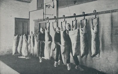 Viande congelée, 1910