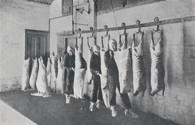 Viande congelée, 1923