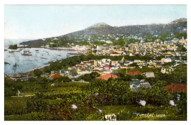 Funchal, Madère, début du 20ème siècle