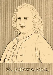 G. Edwards, 1694-1773, 1830