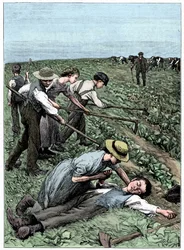 Système de travail des enfants en groupe, vers 1885
