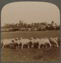 Vue générale du château de Windsor, Angleterre, 1896