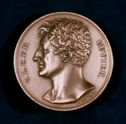 Georges Léopold Chrétien Frédéric Dagobert, Baron Cuvier, anatomiste français, 19ème siècle