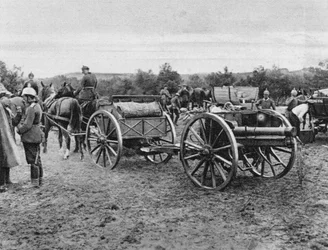 Artillerie Allemande, Première Guerre Mondiale, 1915