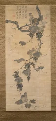 Vigne et écureuils