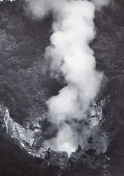 Grand geyser de Wairakei, fin 19e-début 20e siècle