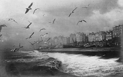 Mouettes à Brighton, East Sussex, début du 20e siècle