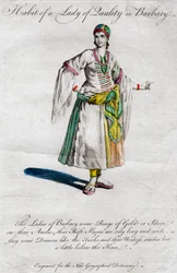 Habit d