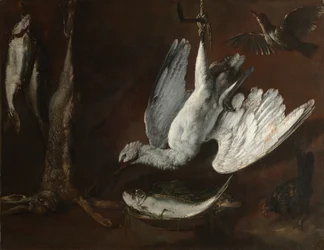 Lièvre, spatule et poisson, milieu des années 1600