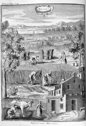 La Moisson, 1775