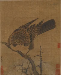 Faucon sur une branche sans feuilles, possiblement dynastie Yuan, 1279-1368