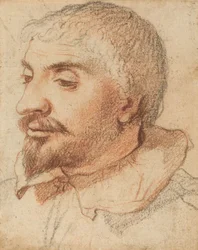 Tête d