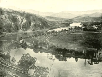 Jardins de houblon en Tasmanie, 1901