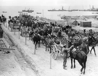 Transport hippomobile, opérations alliées dans les Dardanelles, Turquie, 1915-1916