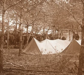 Cantonnement des chevaux, Suippes, nord de la France, c1914-c1918