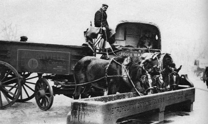 Chevaux buvant à une auge à bétail, Londres, 1926-1927