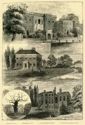 Maisons autour du parc de Greenwich