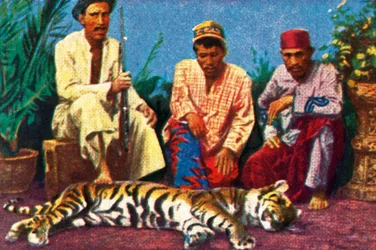 Chasseurs avec tigre mort à Sumatra, vers 1928