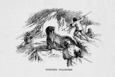 Chasse aux morses, vers 1927-1928