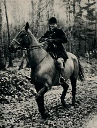 Chasse au sanglier en France, 1927, 1945