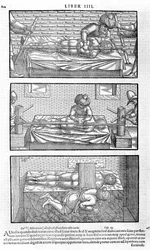 Illustration du Liber canonis de medicinis cordialibus par Avicenne, 1556
