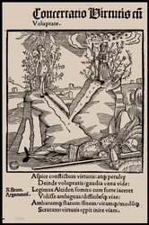 Illustration du livre La Nef des fous de Sebastian Brant, 1497